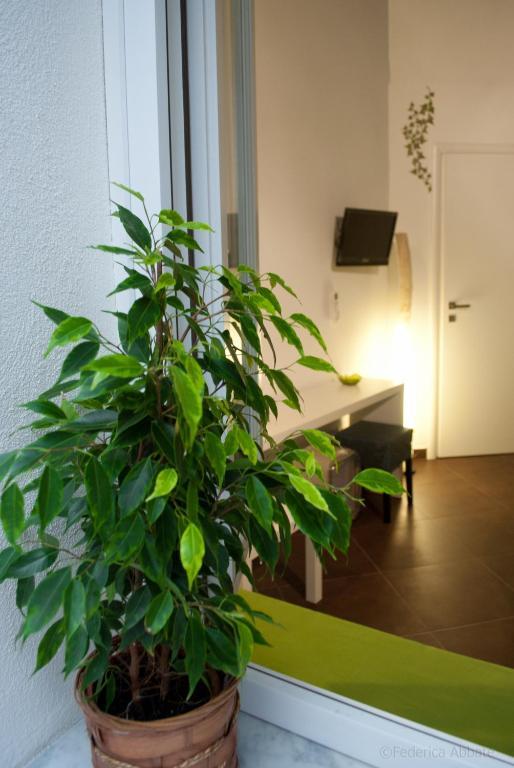 Affittacamere B&B Carella Παλέρμο Δωμάτιο φωτογραφία